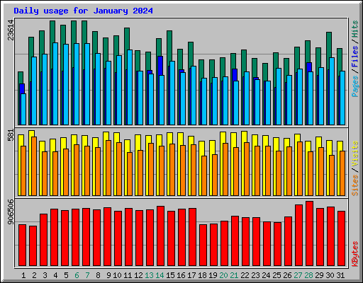 Daily usage for January 2024