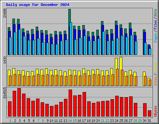 Daily usage for December 2024