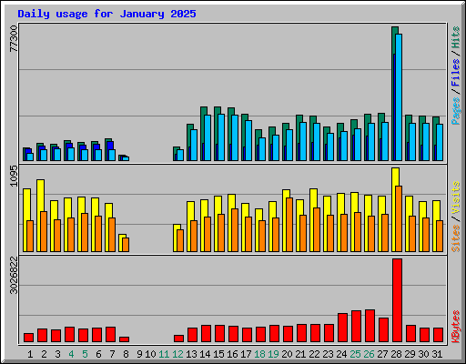 Daily usage for January 2025