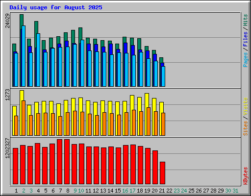 Daily usage for August 2025