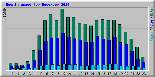 Hourly usage for December 2016