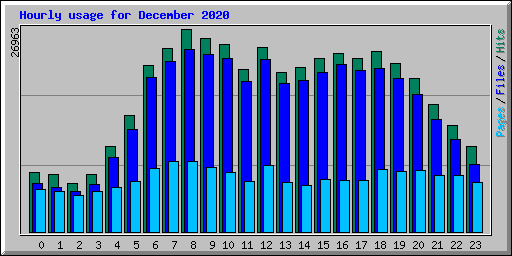 Hourly usage for December 2020
