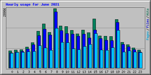 Hourly usage for June 2021