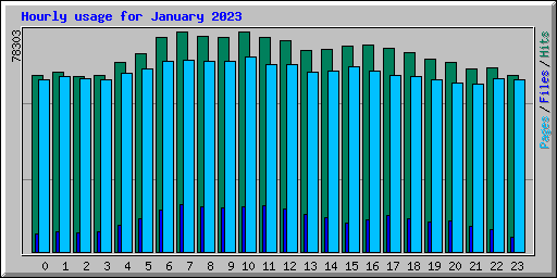 Hourly usage for January 2023