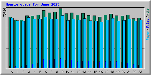 Hourly usage for June 2023