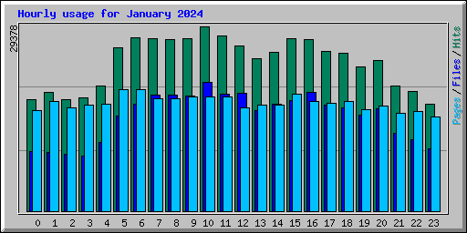 Hourly usage for January 2024
