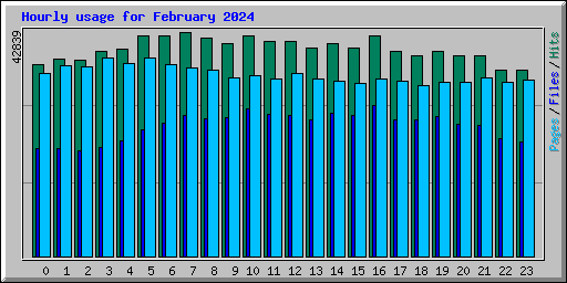 Hourly usage for February 2024