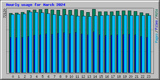 Hourly usage for March 2024