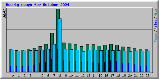 Hourly usage for October 2024