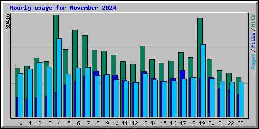 Hourly usage for November 2024