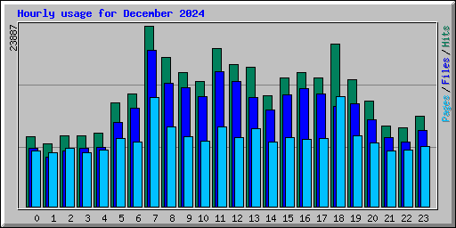 Hourly usage for December 2024