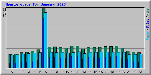 Hourly usage for January 2025