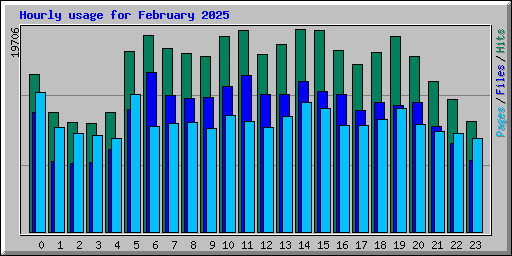 Hourly usage for February 2025