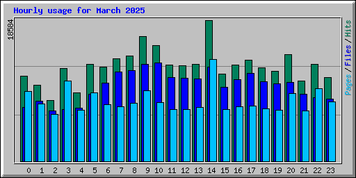Hourly usage for March 2025