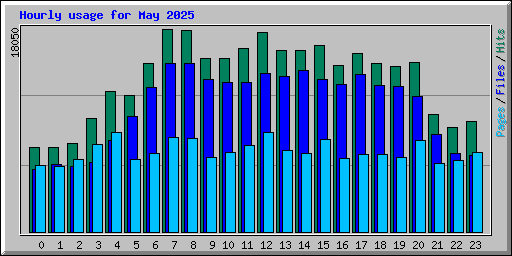 Hourly usage for May 2025