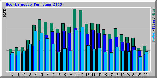Hourly usage for June 2025