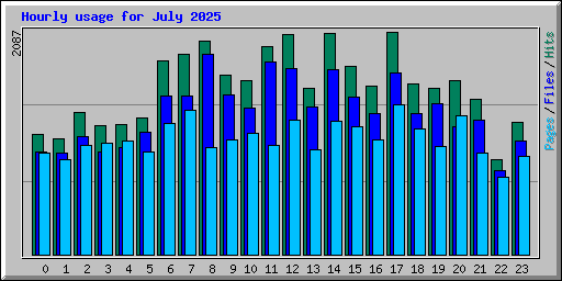 Hourly usage for July 2025