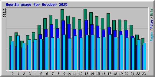 Hourly usage for October 2025