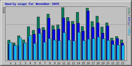 Hourly usage for November 2025