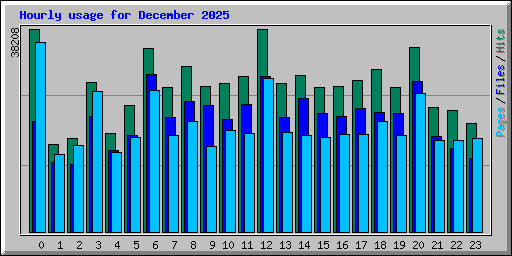 Hourly usage for December 2025