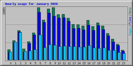 Hourly usage for January 2026