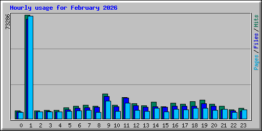 Hourly usage for February 2026