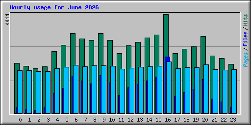 Hourly usage for June 2026