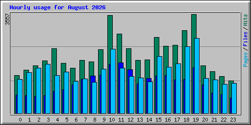 Hourly usage for August 2026